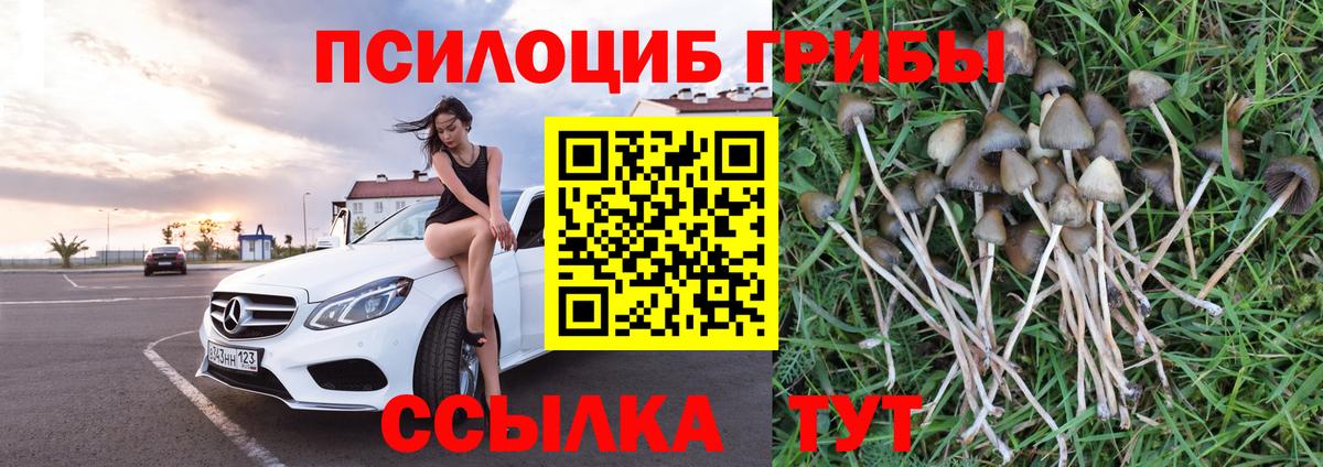 Псилоцибиновые грибы мухоморы Воронеж