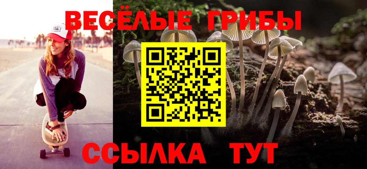 Псилоцибиновые грибы Cubensis  Вход с VPN  Воронеж 